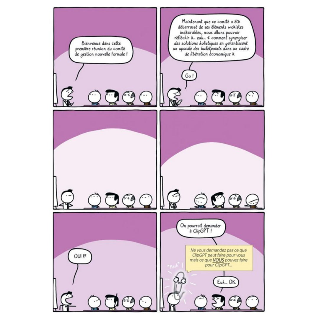 exemple de stripe de la bd