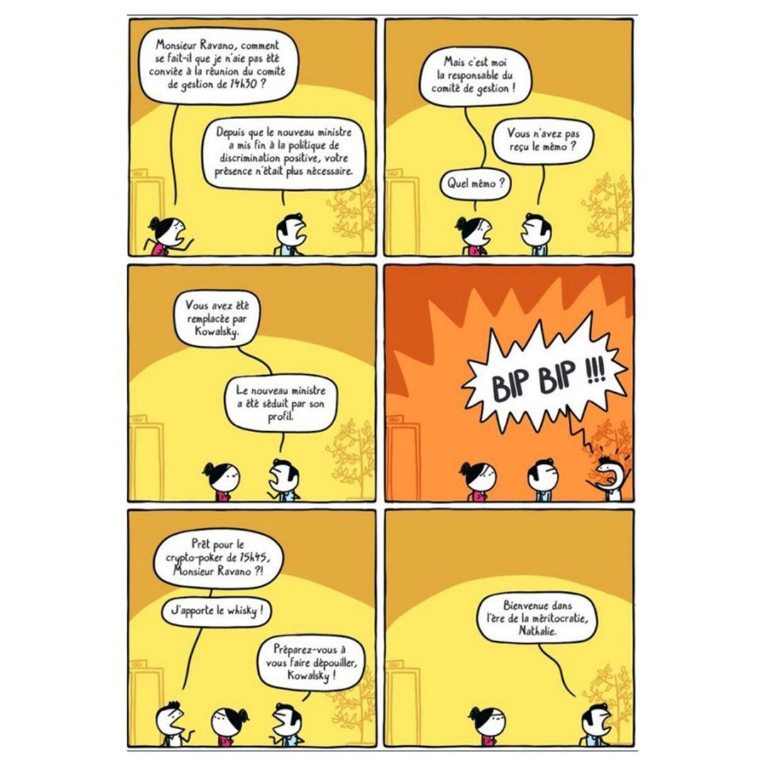 exemple de stripe de la bd